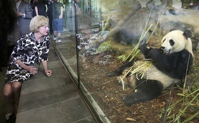 基因組圖譜：大熊貓不吃肉是因?yàn)閲L不到肉味