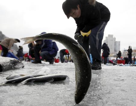 百萬韓國(guó)人參加冰上釣魚活動(dòng)