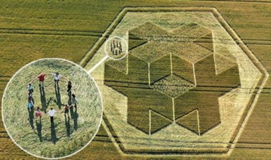 英國(guó)UFO之都再現(xiàn)三維麥田怪圈(組圖)