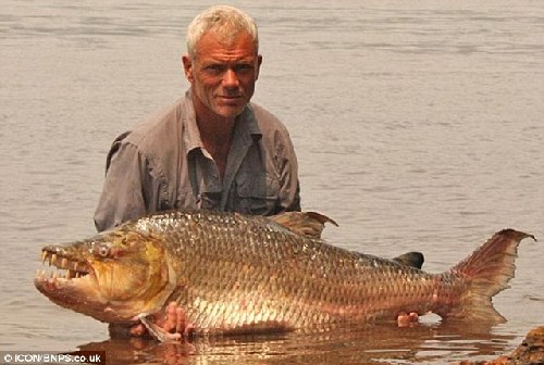 嚇你沒(méi)商量！英主持人指揮巨型食人魚(yú)拍“恐怖照”