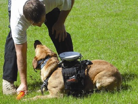 美科學(xué)家開(kāi)發(fā)新型導(dǎo)航器助愛(ài)犬回家