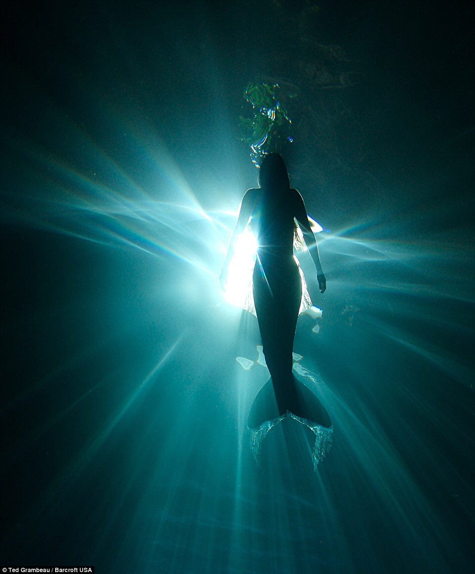 澳模特變身“美人魚” 與鯨共舞倡導(dǎo)保護(hù)海洋生物