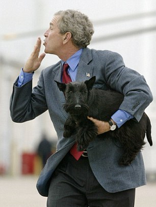 小布什愛犬、前美國“第一狗”巴尼去世 曾遭普京揶揄