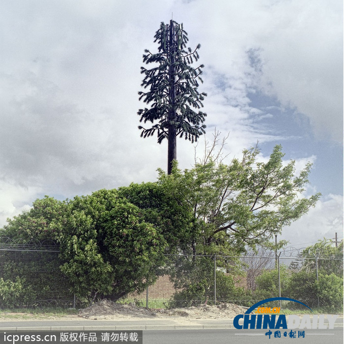 外來物種入侵？ 信號(hào)塔偽裝成植物大變身（組圖）