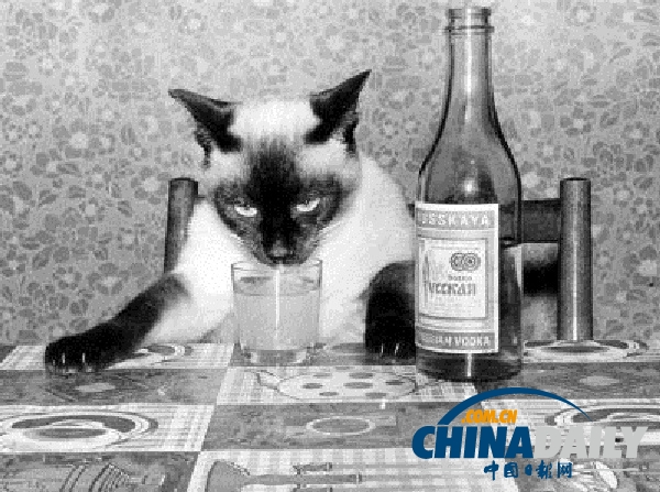 日本公司推出貓咪專(zhuān)用葡萄酒