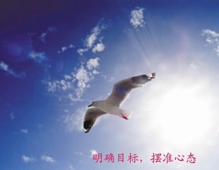 大學(xué)生另類創(chuàng)業(yè)盤點：刷馬桶刷出個千萬富翁
