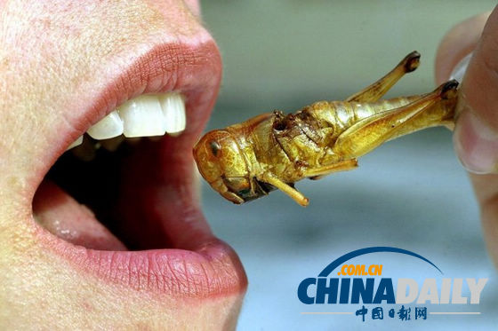 世界各地超級(jí)恐怖的蟲(chóng)子大餐（組圖）