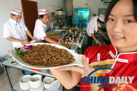 世界各地超級(jí)恐怖的蟲子大餐（組圖）
