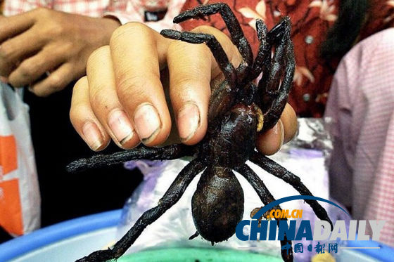 世界各地超級(jí)恐怖的蟲(chóng)子大餐（組圖）