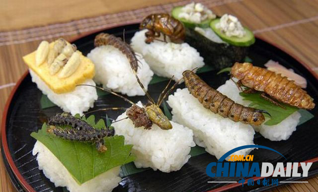 世界各地超級(jí)恐怖的蟲(chóng)子大餐（組圖）