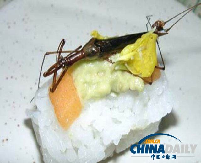 世界各地超級(jí)恐怖的蟲子大餐（組圖）