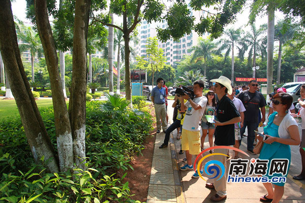 十年磨一劍 “五個龍華”鑄造?？诂F(xiàn)代化新城區(qū)