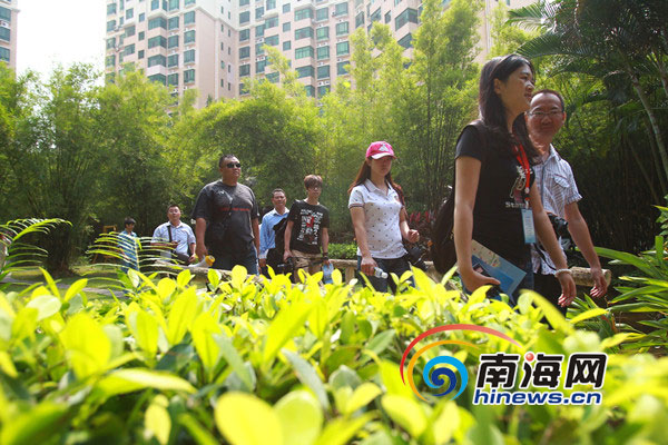 十年磨一劍 “五個龍華”鑄造海口現(xiàn)代化新城區(qū)