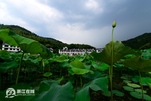 被“盤下”的利山村，一處秀山麗水的養(yǎng)生福地