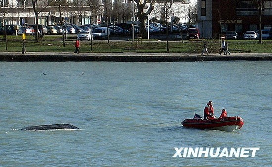 強(qiáng)風(fēng)暴襲擊歐洲 法國(guó)45人死亡百萬(wàn)戶停電