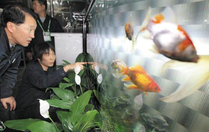 G20：金魚當(dāng)“警衛(wèi)”酒店搶商機(jī) 倡導(dǎo)單雙號(hào)限行