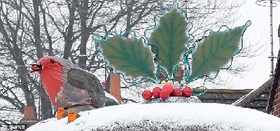 圣誕趣聞：針葉樹(shù)變“布丁” 腦血管圖現(xiàn)“馴鹿”