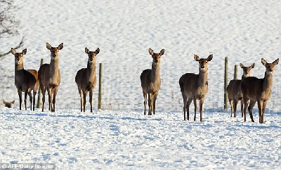 歐洲多國圣誕節(jié)遭遇強(qiáng)降雪 陸空交通困難旅客受罪