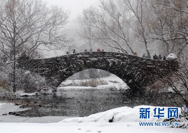 紐約遭暴風雪襲擊 部分地區(qū)能見度為零