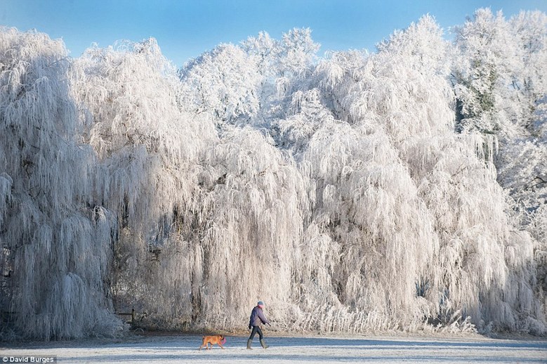 英國(guó)美麗雪景如天然圣誕賀卡