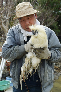 日本地震近一個(gè)月奇跡頻現(xiàn) 75歲老翁獲救、“雞堅(jiān)強(qiáng)”生還