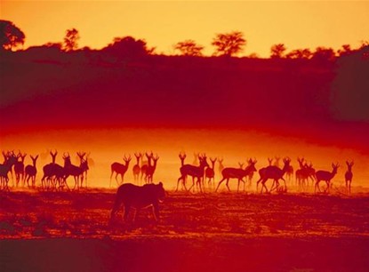 獨(dú)家：戴安娜蜜月地實(shí)拍 威廉凱特蜜月地點(diǎn)大猜想