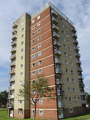 12層高樓摔落基本沒(méi)事 英國(guó)小貓被稱“幸運(yùn)星”