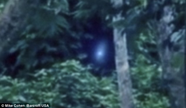 英國游客在巴西亞馬孫拍到不明光源和疑似外星人