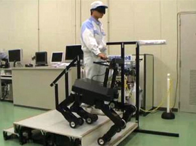 爬樓梯、躲障礙樣樣行 日本導(dǎo)盲機(jī)器狗將惠及萬千盲人