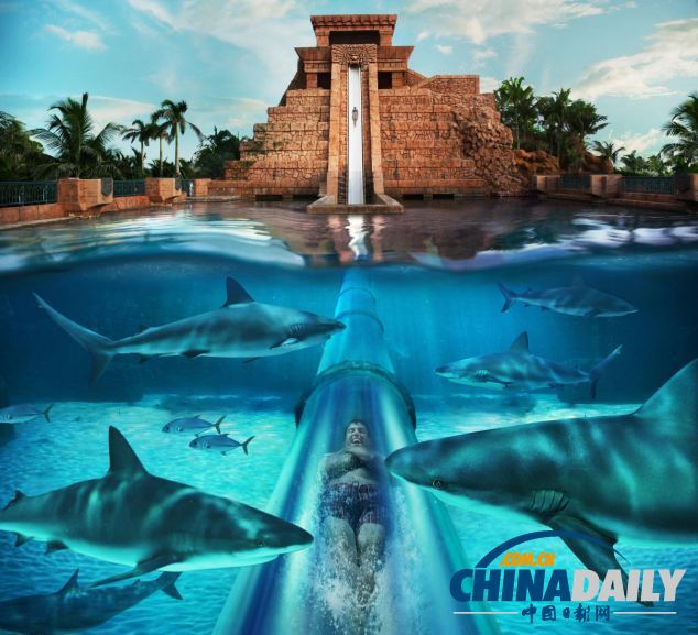 組圖：巴哈馬超酷水滑梯帶來風馳電掣體驗 與鯊魚“同游”