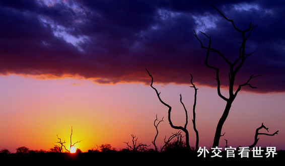 落日余暉（優(yōu)秀獎(jiǎng)）