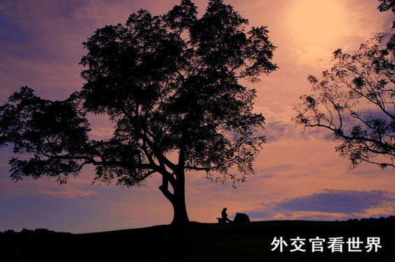樹(shù)下讀書(shū)的少年（優(yōu)秀獎(jiǎng)）