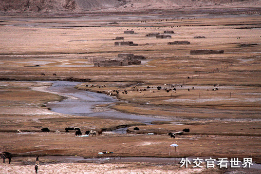 神秘的帕米爾高原組圖－1高原峽谷、牛羊成群（優(yōu)秀獎）