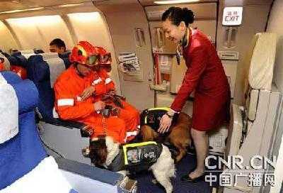 專家：中國(guó)軍隊(duì)?wèi)?yīng)準(zhǔn)備擔(dān)負(fù)更多境外非戰(zhàn)爭(zhēng)任務(wù)