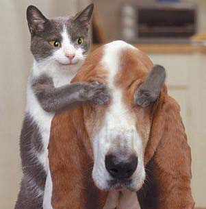 親愛(ài)的，猜猜我是誰(shuí)？