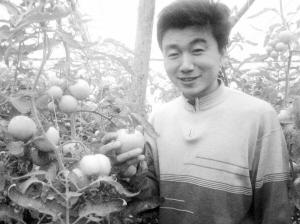 勤勞能干口碑好 中國菜農(nóng)遍布俄羅斯
