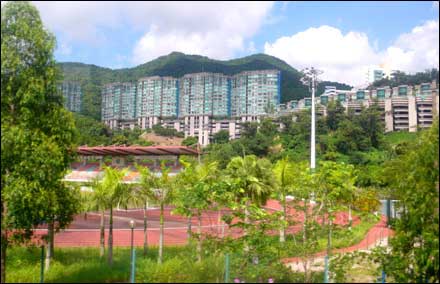 香港細(xì)節(jié)之綠化意識(shí)(組圖)