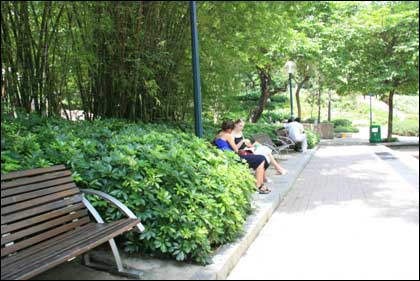 香港細(xì)節(jié)之綠化意識(shí)(組圖)