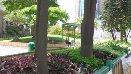 香港細(xì)節(jié)之綠化意識(shí)(組圖)