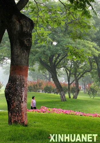 這是這是市民在北京東便門附近的明城墻遺址公園綠地休閑（2007年6月28日攝）。 