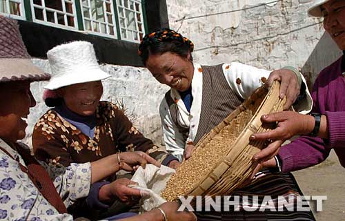 2005年3月7日，拉薩市城關(guān)區(qū)蔡公堂村女共產(chǎn)黨員扎桑（右二）同村里婦女一起準(zhǔn)備春播用的青稞種子。西藏農(nóng)村婦女黨員組建“巾幗文明服務(wù)隊(duì)”、“巾幗建筑隊(duì)”、西藏婦女發(fā)展協(xié)會(huì)等組織，成為農(nóng)民脫貧致富的引路人。 新華社發(fā) 