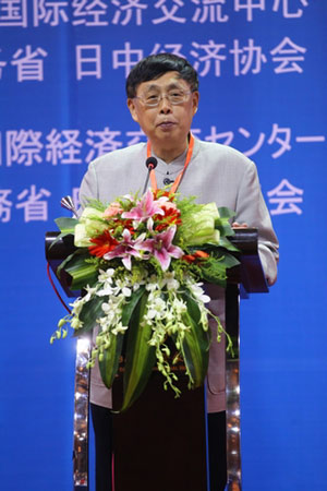 陳昊蘇：將第八次會(huì)議開成邦交正?；?0年的總結(jié)性會(huì)議