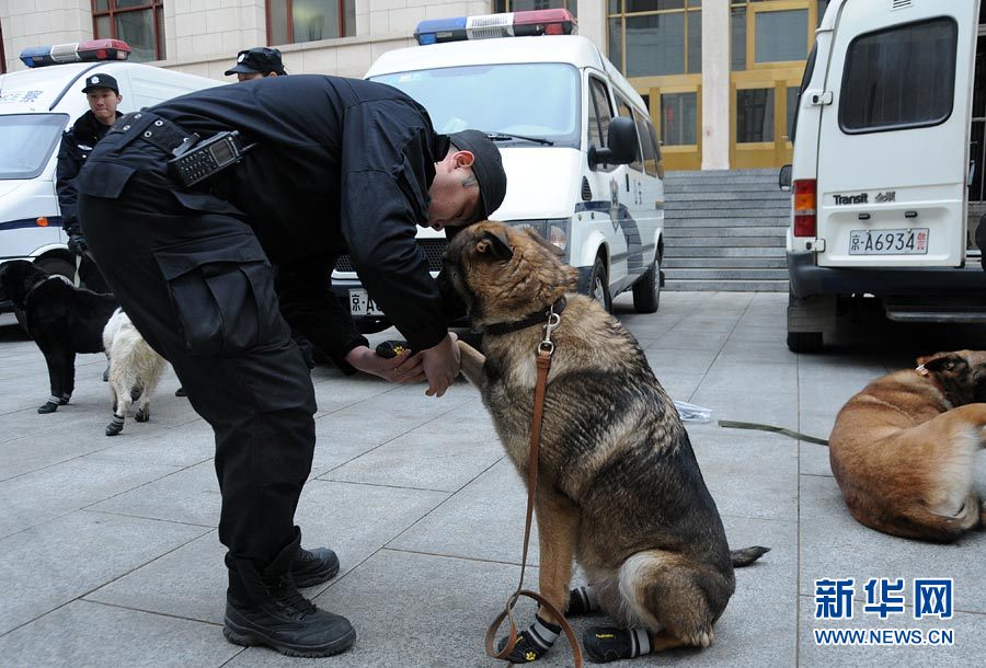 警犬“助陣”兩會安保工作：大會堂內(nèi)細致檢查
