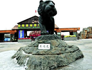 沈陽動物園老虎餓死幕后：園區(qū)被抵押貸款建球場