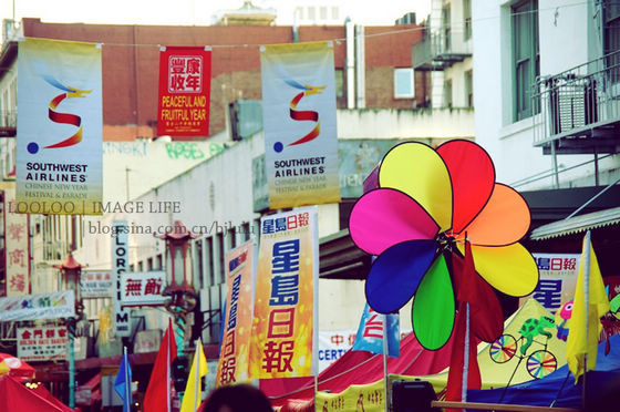 逛逛美國(guó)唐人街的花市