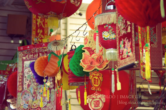 逛逛美國(guó)唐人街的花市