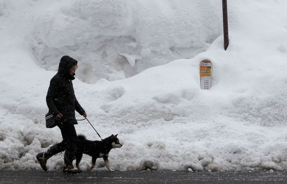 極寒天氣襲擊歐洲和東亞 日本暴雪56人喪生、英國或比南極冷