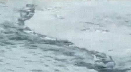 冰島百年水怪今日終現(xiàn)身？盤點幽藍世界詭異“怪獸”