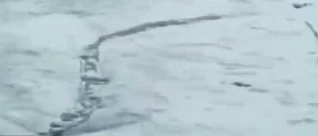 冰島百年水怪今日終現(xiàn)身？盤點幽藍世界詭異“怪獸”