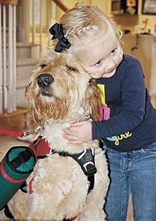 服務(wù)犬背氧氣瓶隨時(shí)陪伴 病重女孩享自由生活